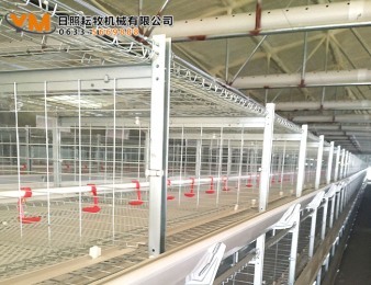 肉鸡笼养现场
