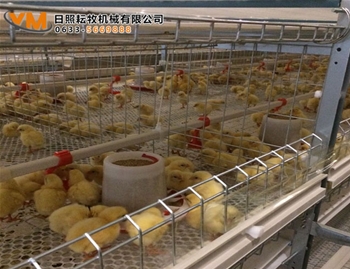 笼养水线