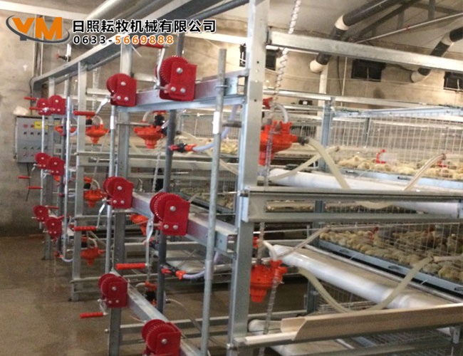 笼养水线及调压系统