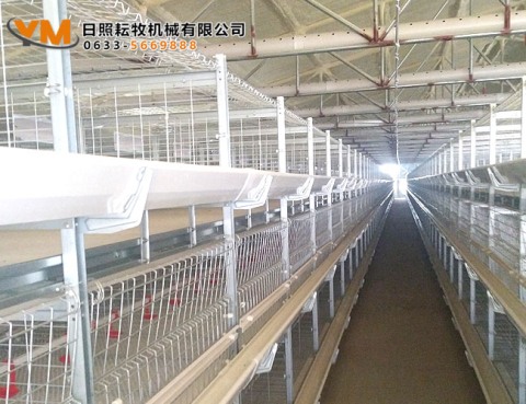 肉鸡笼养设备