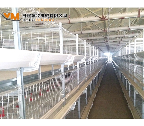 肉鸡笼养设备