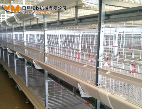 肉鸡笼养设备