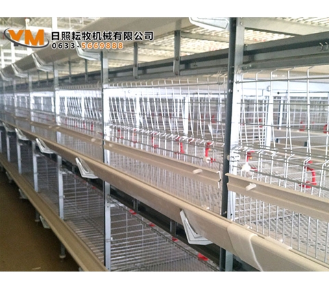 肉鸡笼养设备