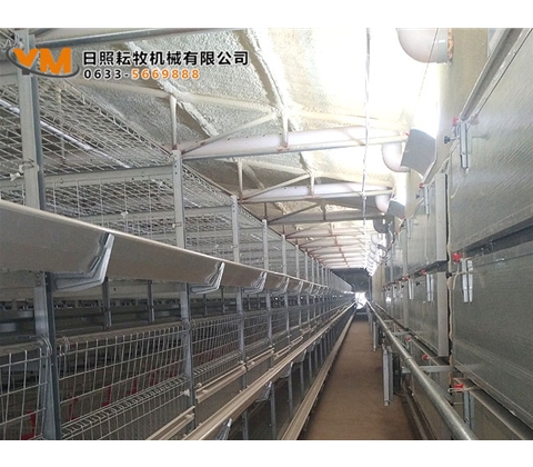 肉鸡笼养设备