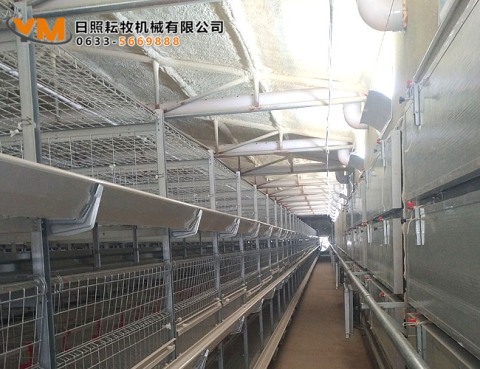 肉鸡笼养设备