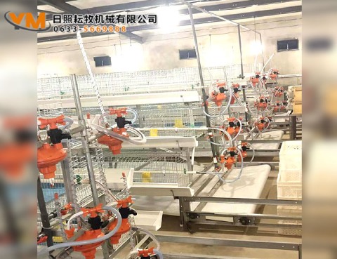 蛋鸡笼养设备