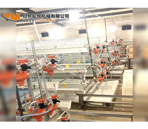 蛋鸡笼养设备
