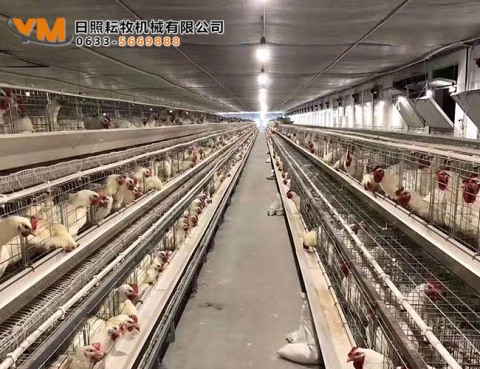 蛋鸡笼养设备