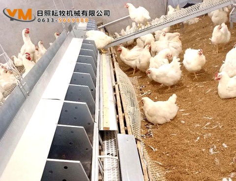 自动集蛋箱