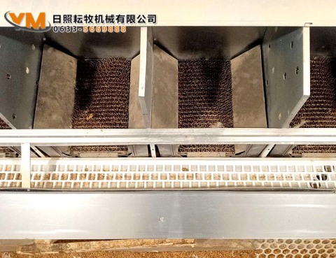 自动集蛋箱
