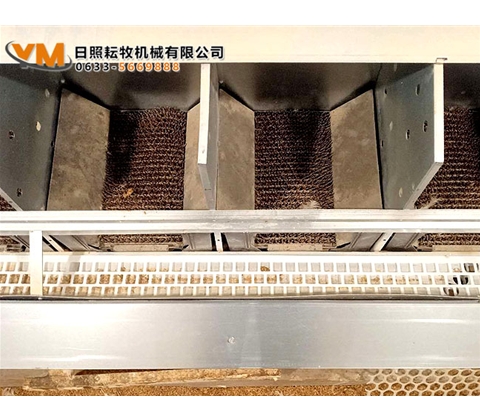 自动集蛋箱