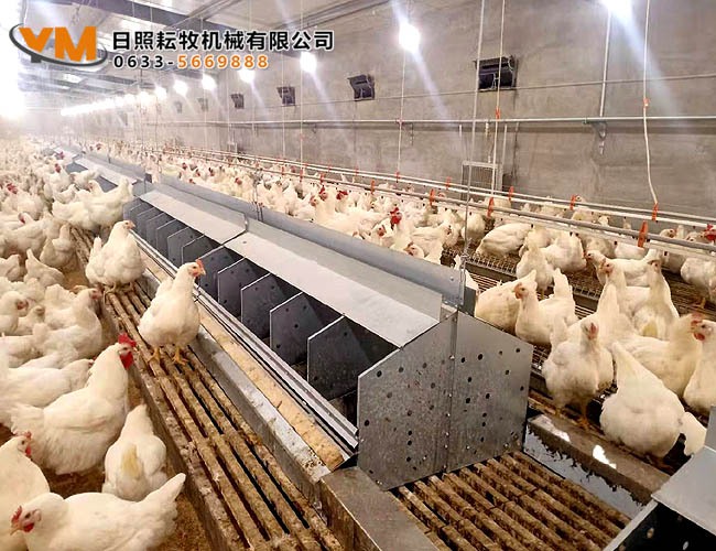 自动集蛋箱