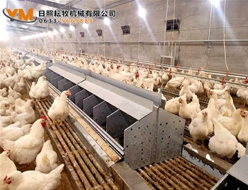 自动集蛋箱