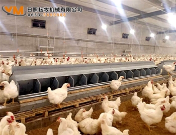 自动集蛋箱