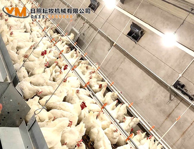 自动饮水系统