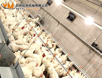 自动饮水系统