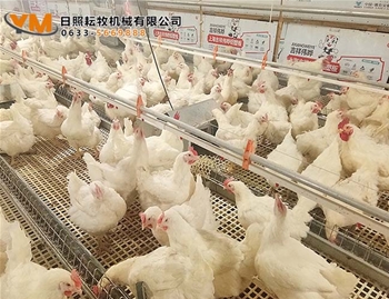 乳头饮水系统