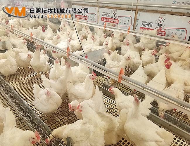 乳头饮水系统