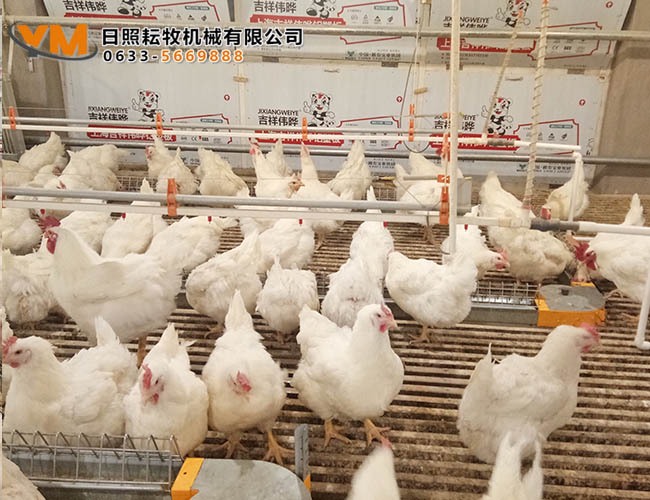 自动饮水系统
