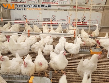 自动饮水系统