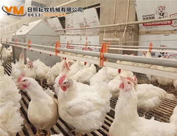 乳头饮水系统